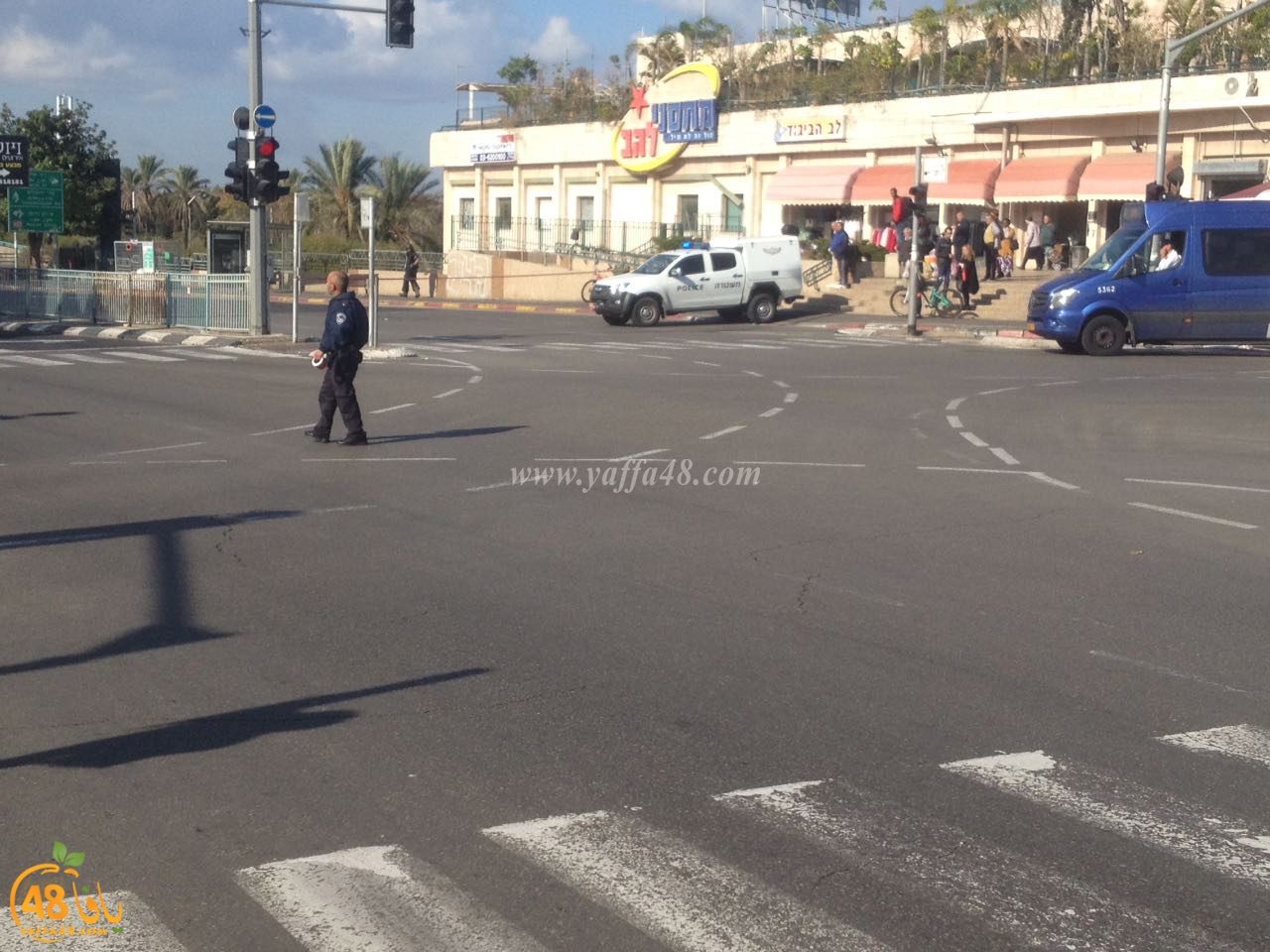 wolfson ejsna (5).jpg